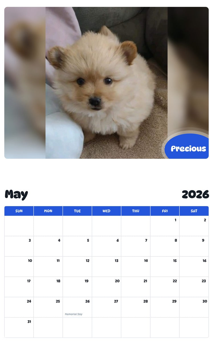 2026 - 2027 Precious - Pawidols Pet Calendar