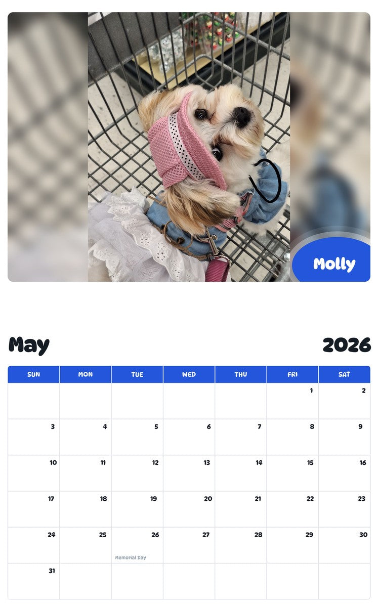 2026 - 2027 Molly - Pawidols Pet Calendar