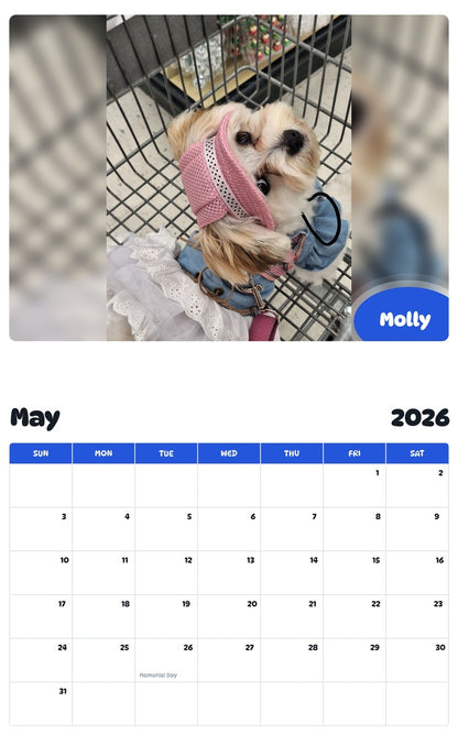 2026 - 2027 Molly - Pawidols Pet Calendar