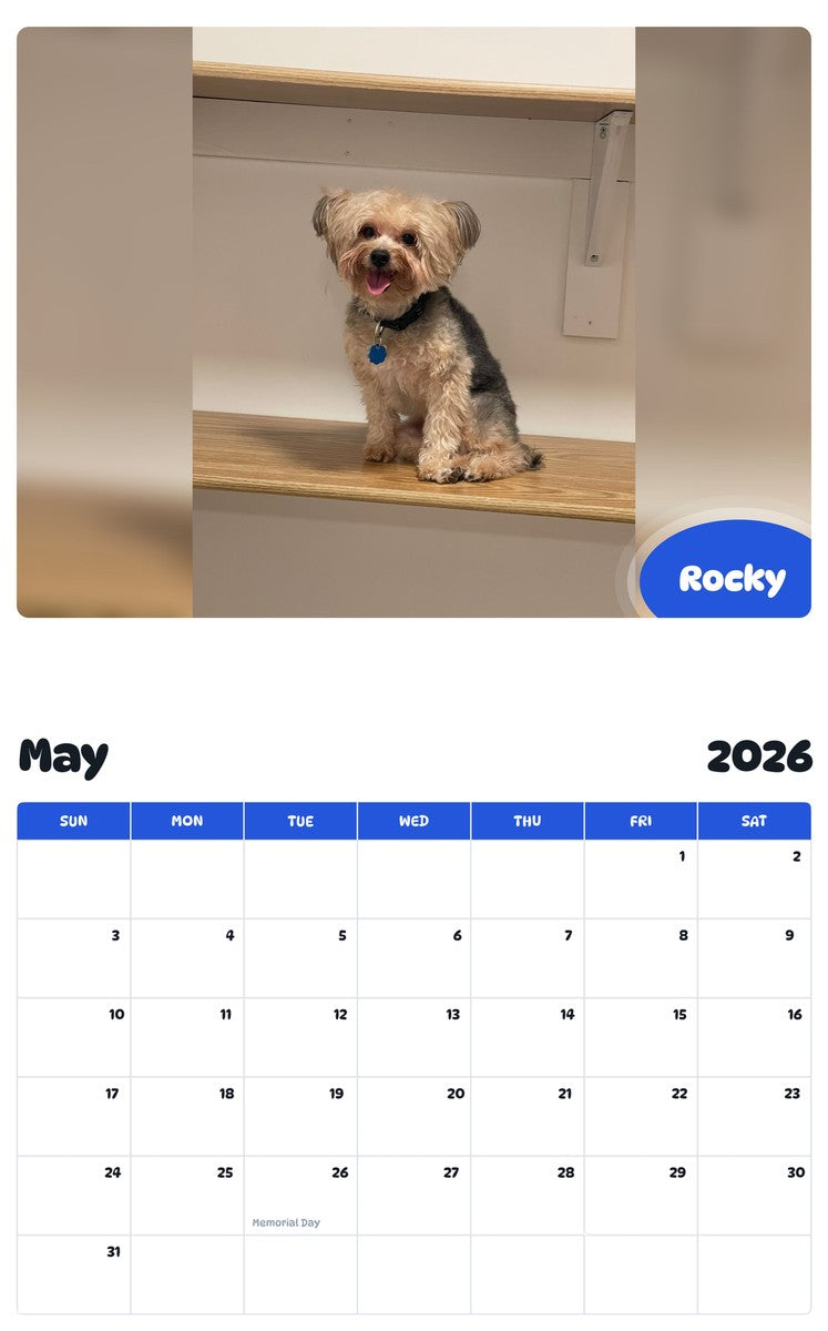 2026 - 2027 Rocky - Pawidols Pet Calendar