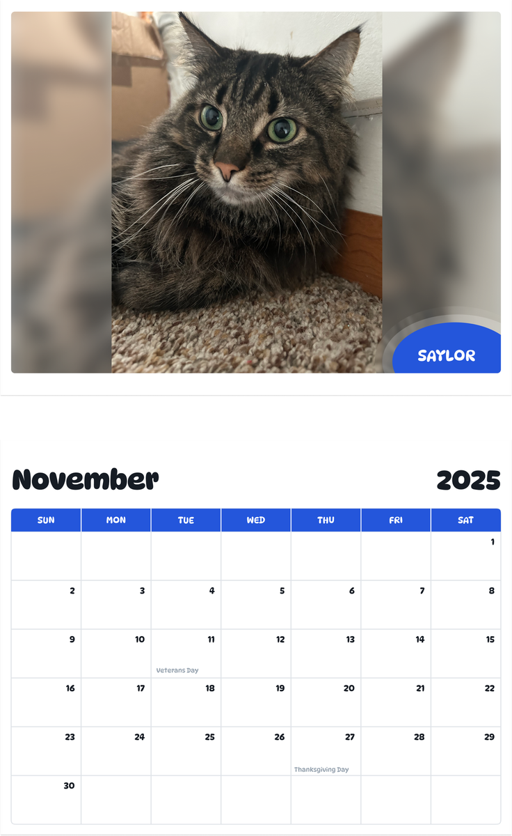 July 2025 - June 2026 Saylor - Pawidols Pet Calendar