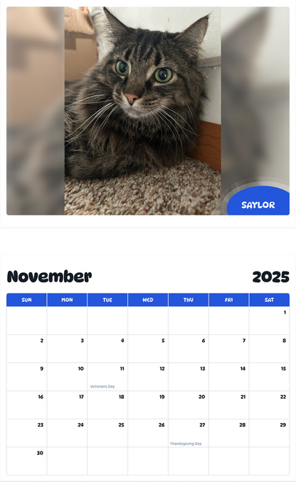 July 2025 - June 2026 Saylor - Pawidols Pet Calendar