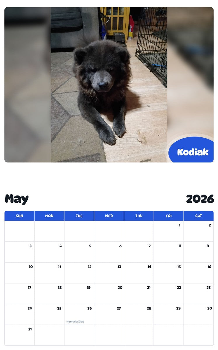 2026 - 2027 Kodiak - Pawidols Pet Calendar