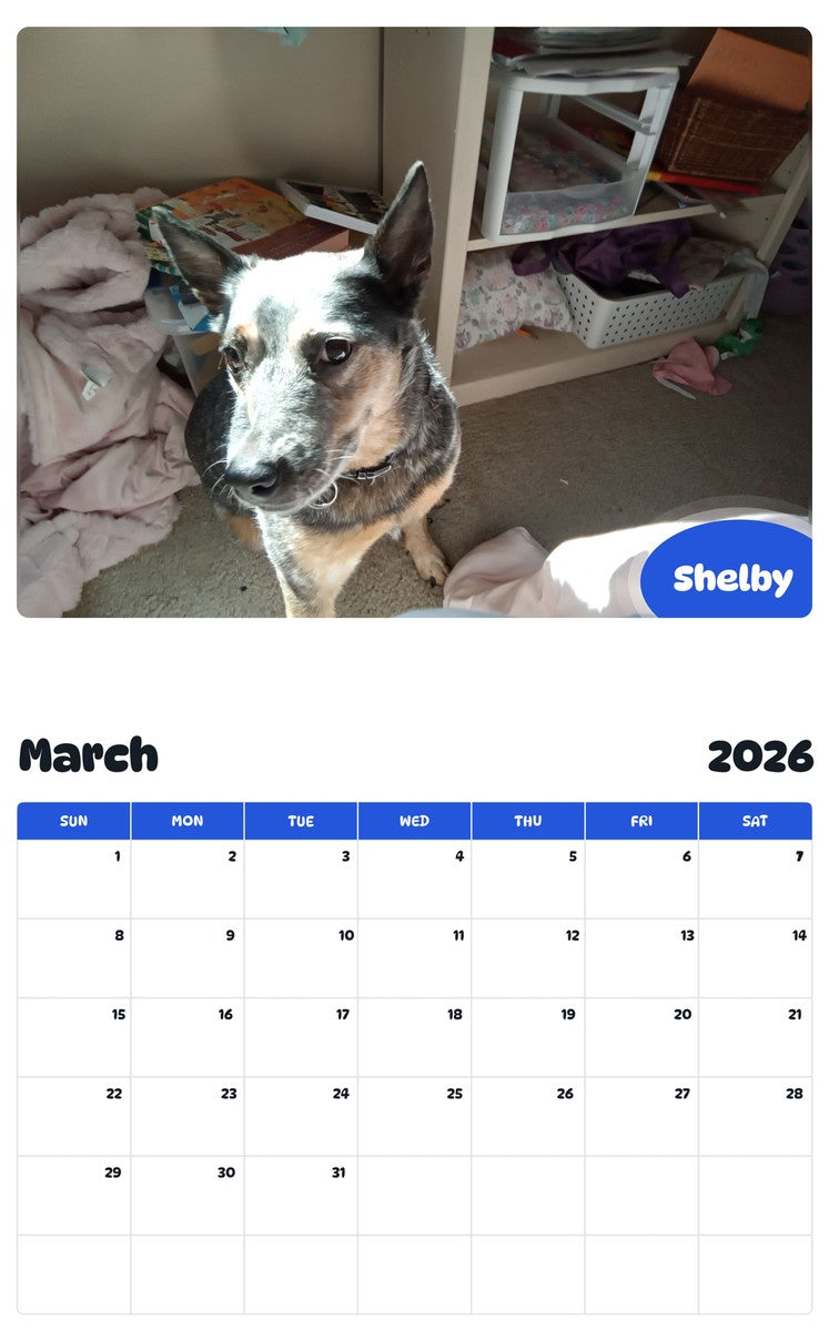 November 2025 - October 2026 Shelby - Pawidols Pet Calendar
