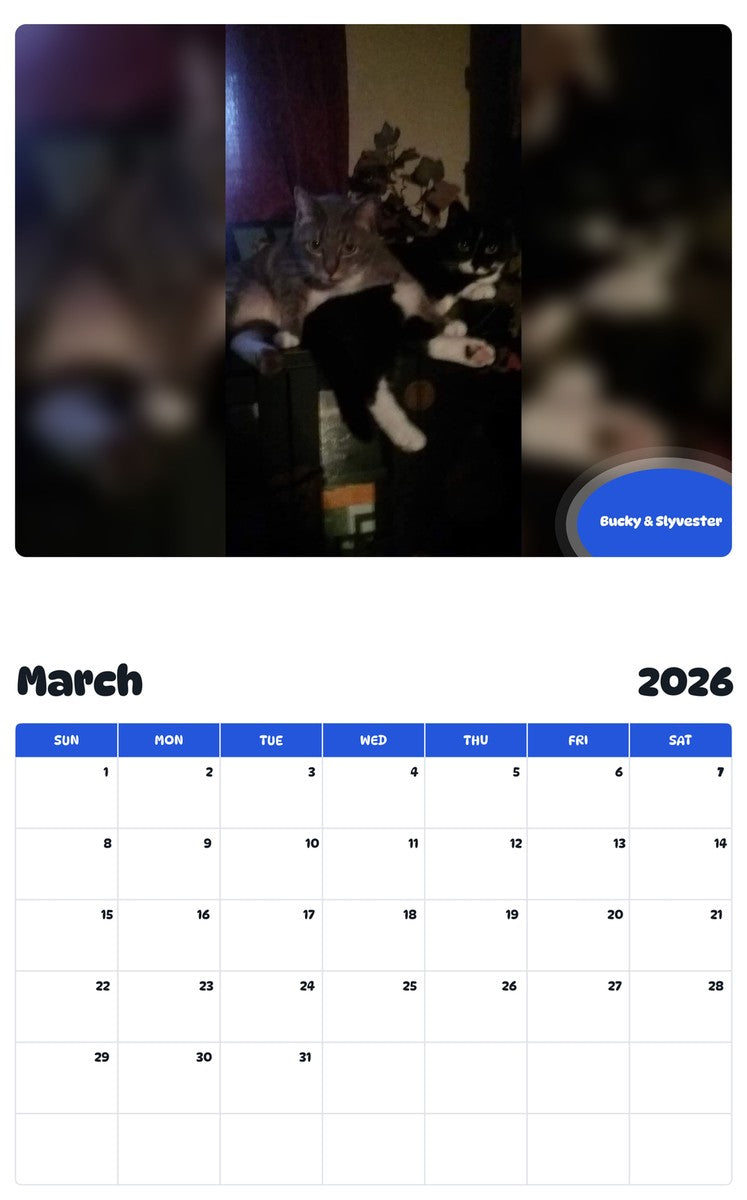 November 2025 - October 2026 Bucky & Slyvester - Pawidols Pet Calendar