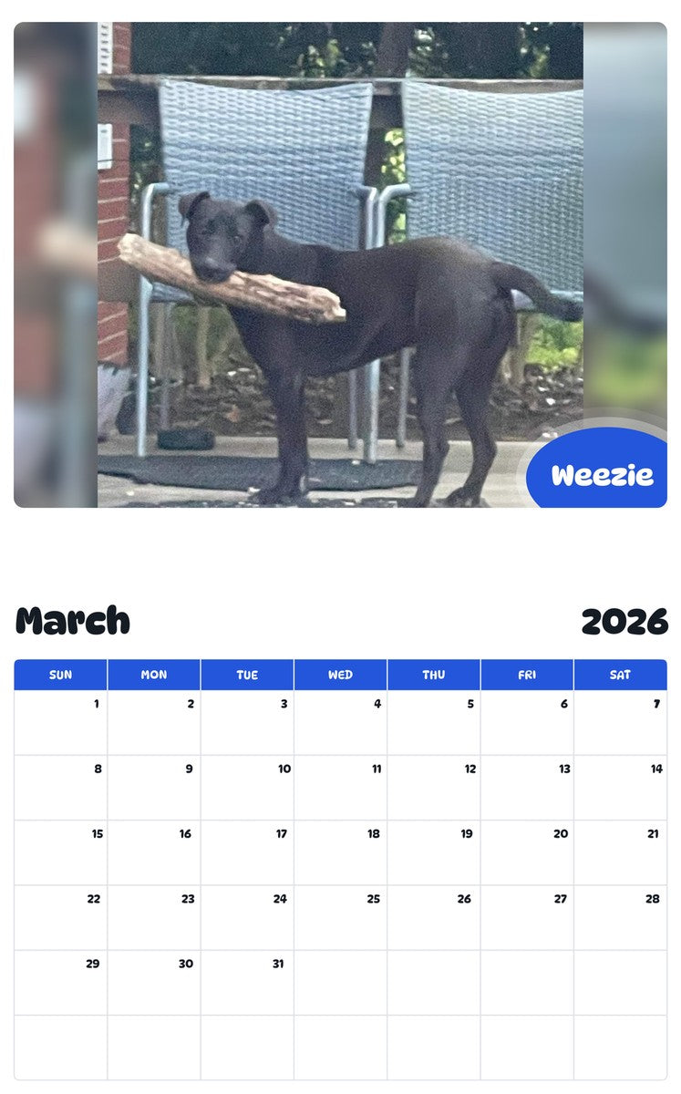 November 2025 - October 2026 Weezie - Pawidols Pet Calendar