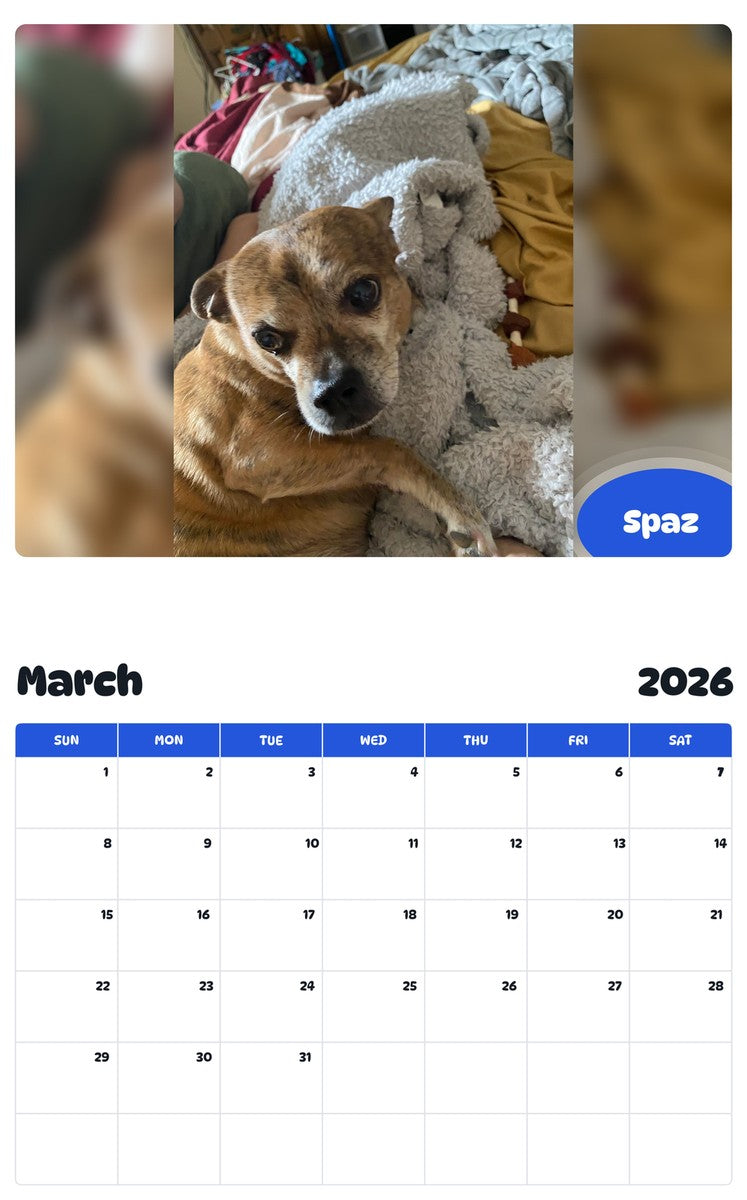 November 2025 - October 2026 Spaz - Pawidols Pet Calendar