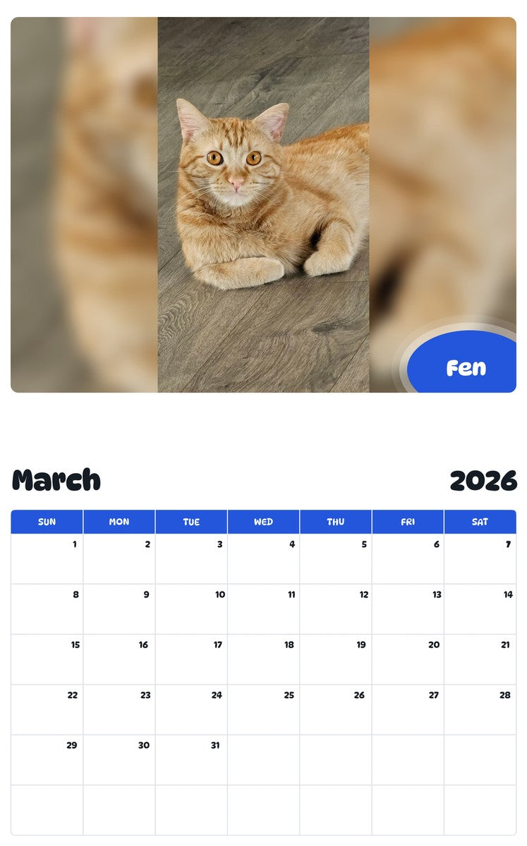 November 2025 - October 2026 Fen - Pawidols Pet Calendar