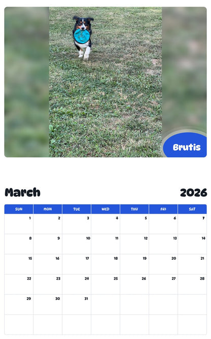 November 2025 - October 2026 Brutis - Pawidols Pet Calendar