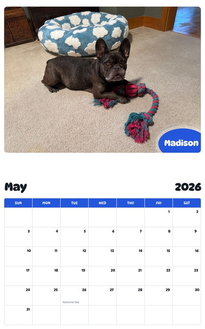 2026 - 2027 Madison - Pawidols Pet Calendar