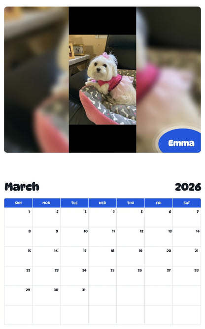November 2025 - October 2026 Emma - Pawidols Pet Calendar