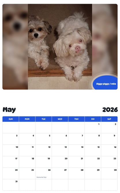 2026 - 2027 Ziggy piggy / milo - Pawidols Pet Calendar