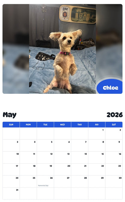 2026 - 2027 Chloe - Pawidols Pet Calendar
