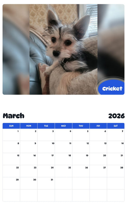 November 2025 - October 2026 Cricket - Pawidols Pet Calendar
