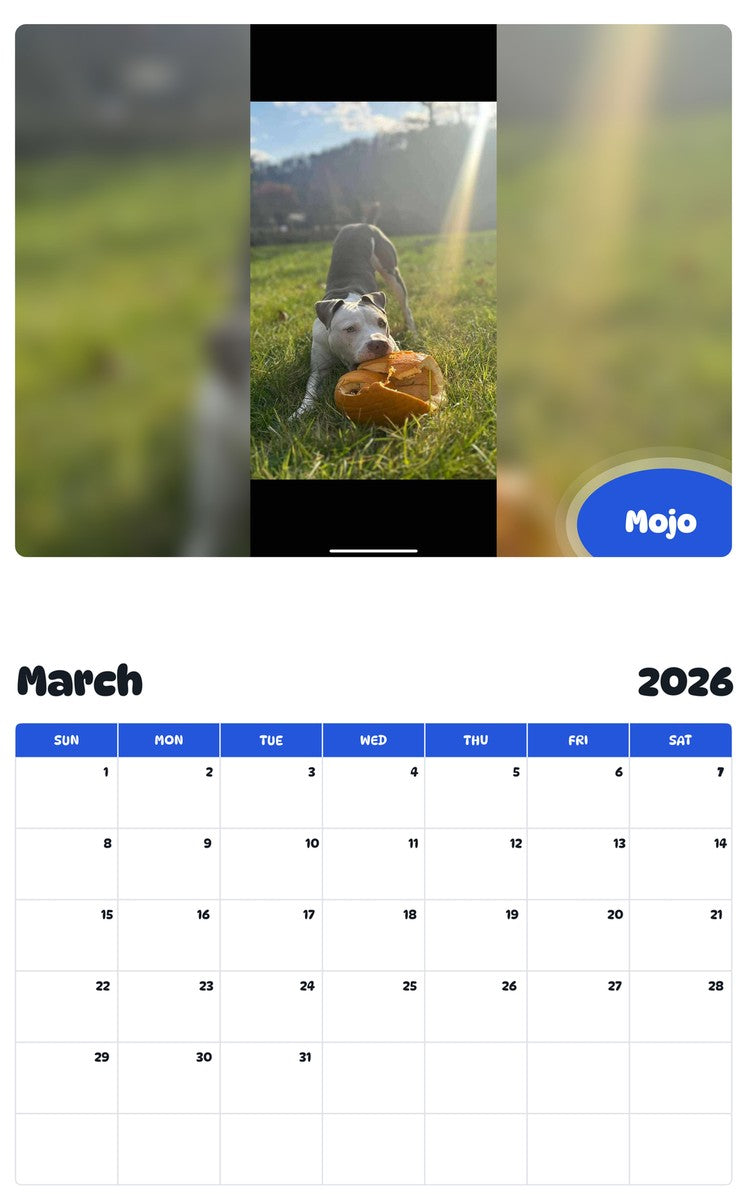 November 2025 - October 2026 Mojo - Pawidols Pet Calendar