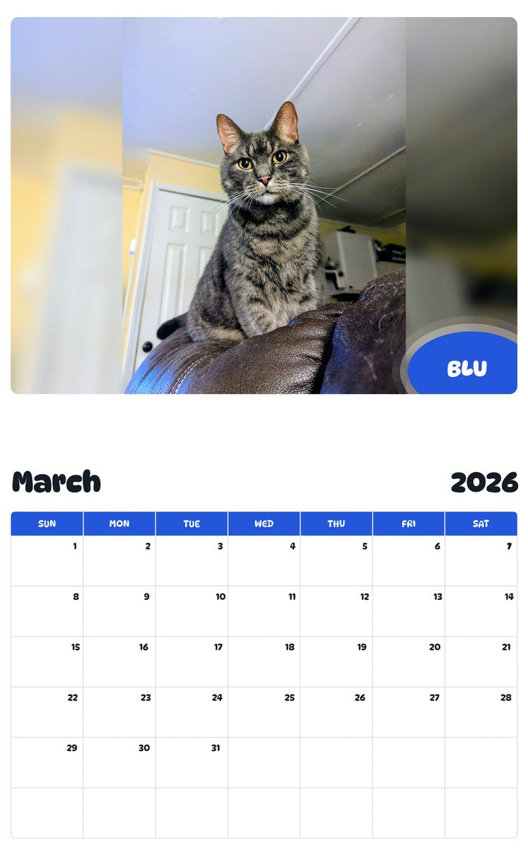 November 2025 - October 2026 BLU - Pawidols Pet Calendar