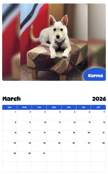 November 2025 - October 2026 Karma - Pawidols Pet Calendar