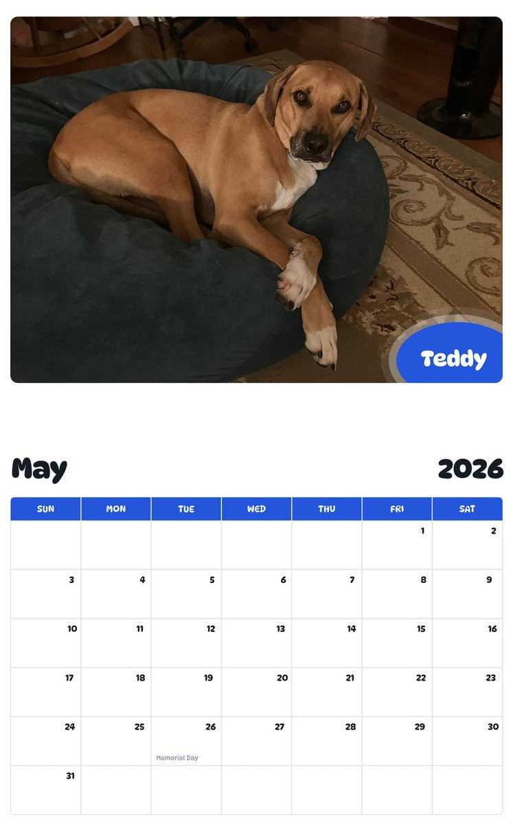 2026 - 2027 Teddy - Pawidols Pet Calendar