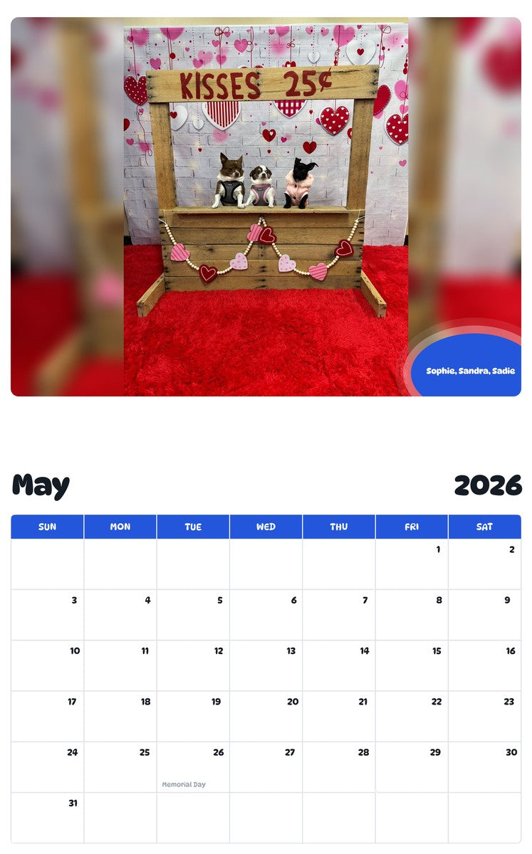 2026 - 2027 Sophie, Sandra, Sadie - Pawidols Pet Calendar