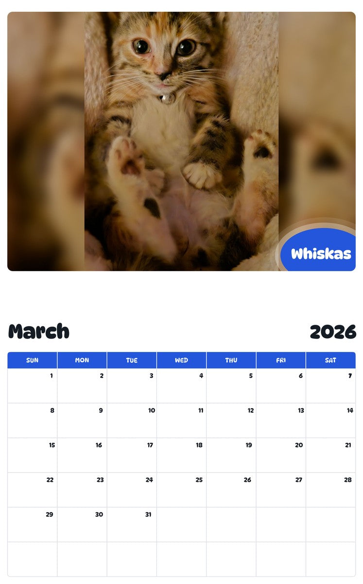 November 2025 - October 2026 Whiskas - Pawidols Pet Calendar