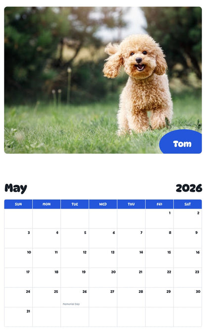 2026 - 2027 Tom - Pawidols Pet Calendar