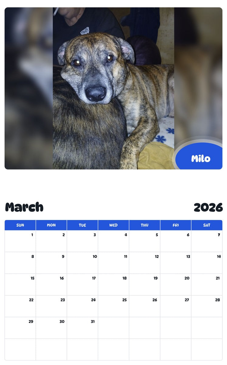 November 2025 - October 2026 Milo - Pawidols Pet Calendar