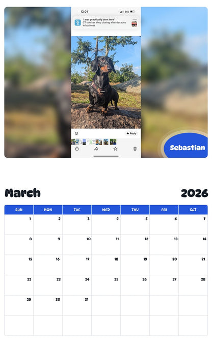 November 2025 - October 2026 Sebastian - Pawidols Pet Calendar