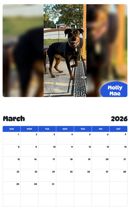November 2025 - October 2026 Molly Mae - Pawidols Pet Calendar