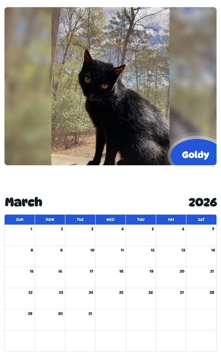 November 2025 - October 2026 Goldy - Pawidols Pet Calendar