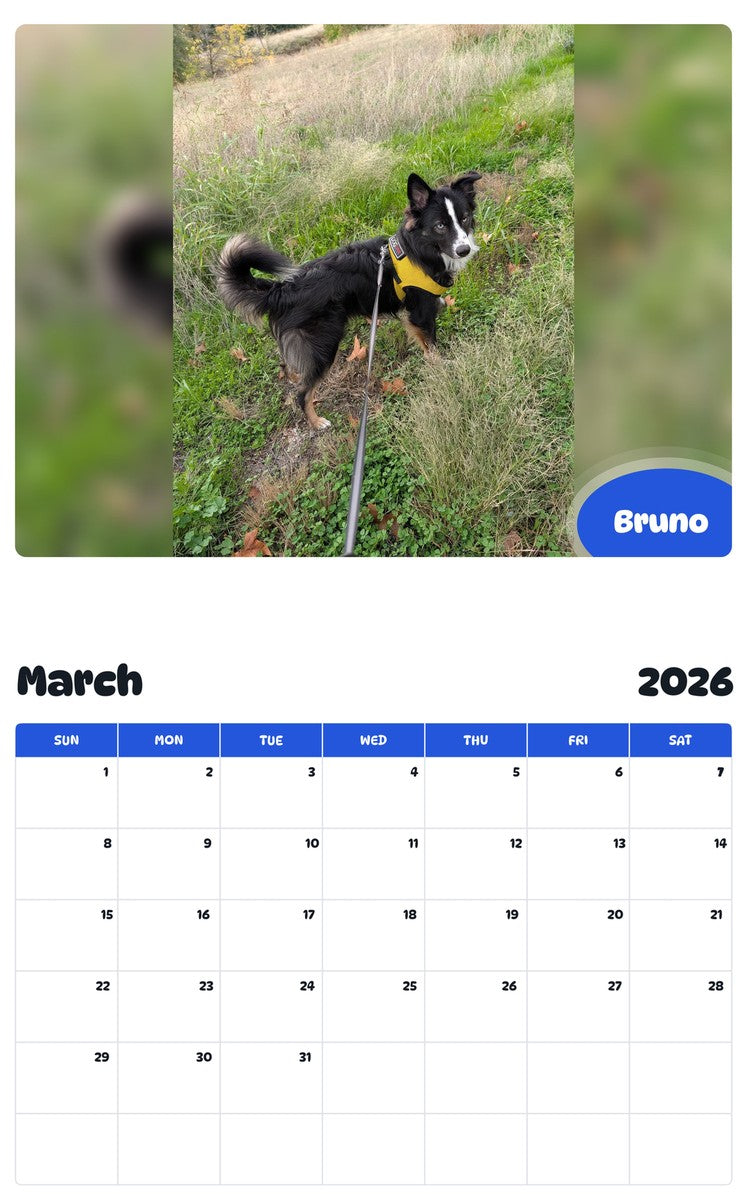 November 2025 - October 2026 Bruno - Pawidols Pet Calendar