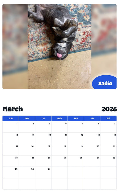 November 2025 - October 2026 Sadie - Pawidols Pet Calendar