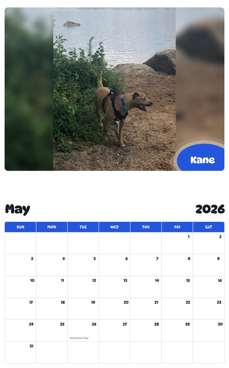 2026 - 2027 Kane - Pawidols Pet Calendar
