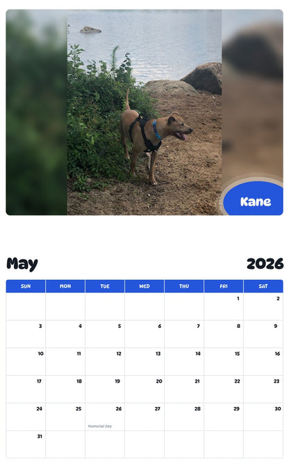 2026 - 2027 Kane - Pawidols Pet Calendar