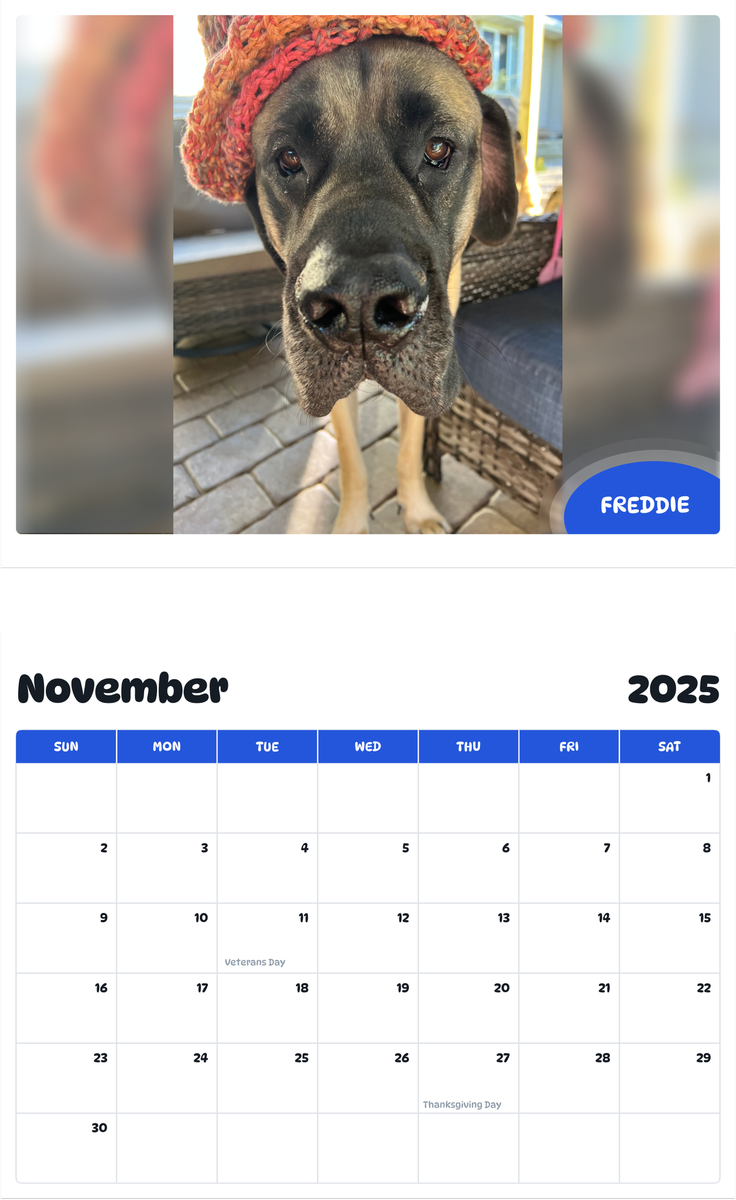 July 2025 - June 2026 Freddie - Pawidols Pet Calendar