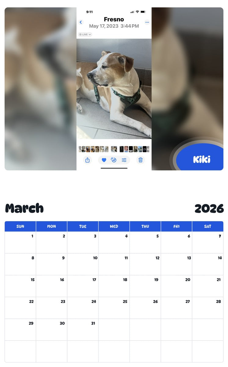 November 2025 - October 2026 Kiki - Pawidols Pet Calendar