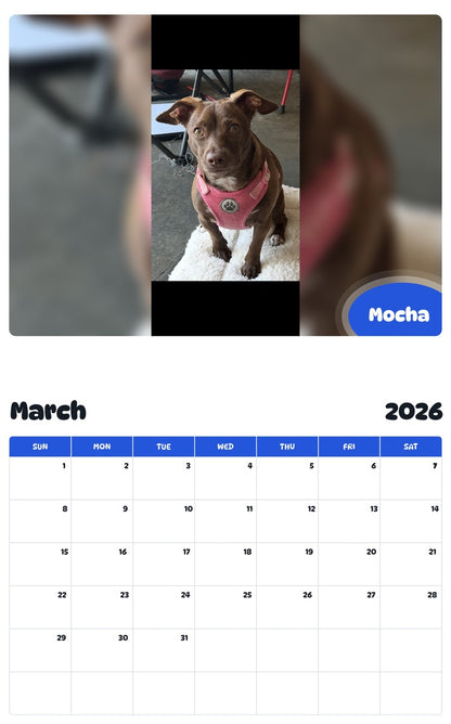 November 2025 - October 2026 Mocha - Pawidols Pet Calendar