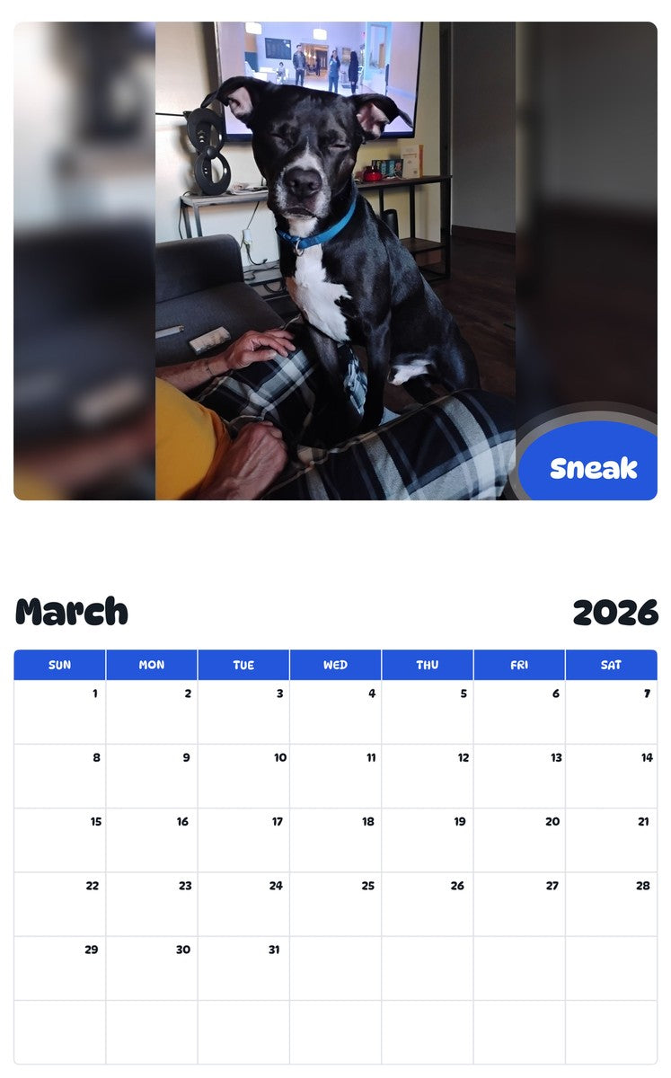 November 2025 - October 2026 Sneak - Pawidols Pet Calendar