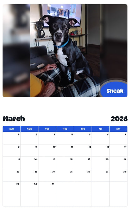 November 2025 - October 2026 Sneak - Pawidols Pet Calendar
