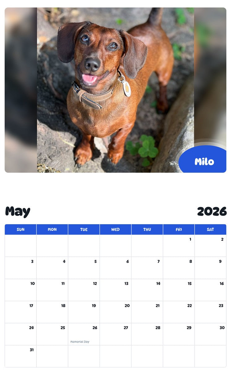 2026 - 2027 Milo - Pawidols Pet Calendar