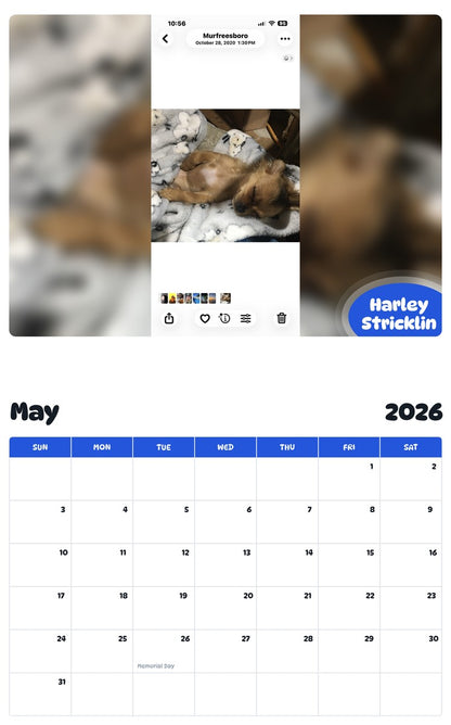 2026 - 2027 Harley Stricklin - Pawidols Pet Calendar