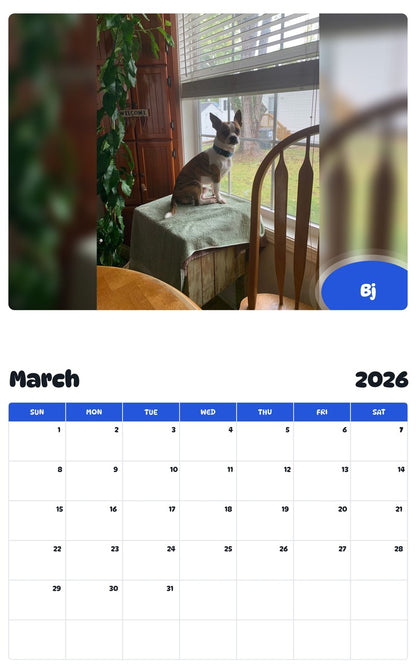 November 2025 - October 2026 Bj - Pawidols Pet Calendar