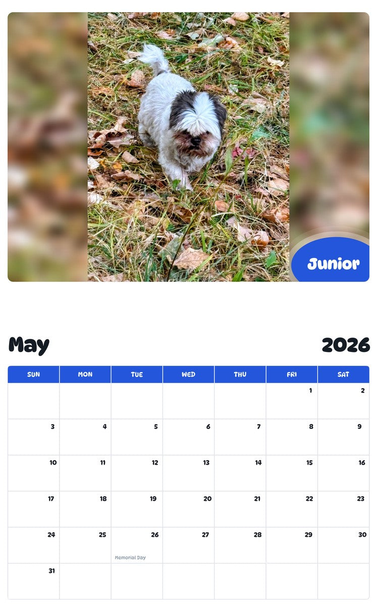 2026 - 2027 Junior - Pawidols Pet Calendar