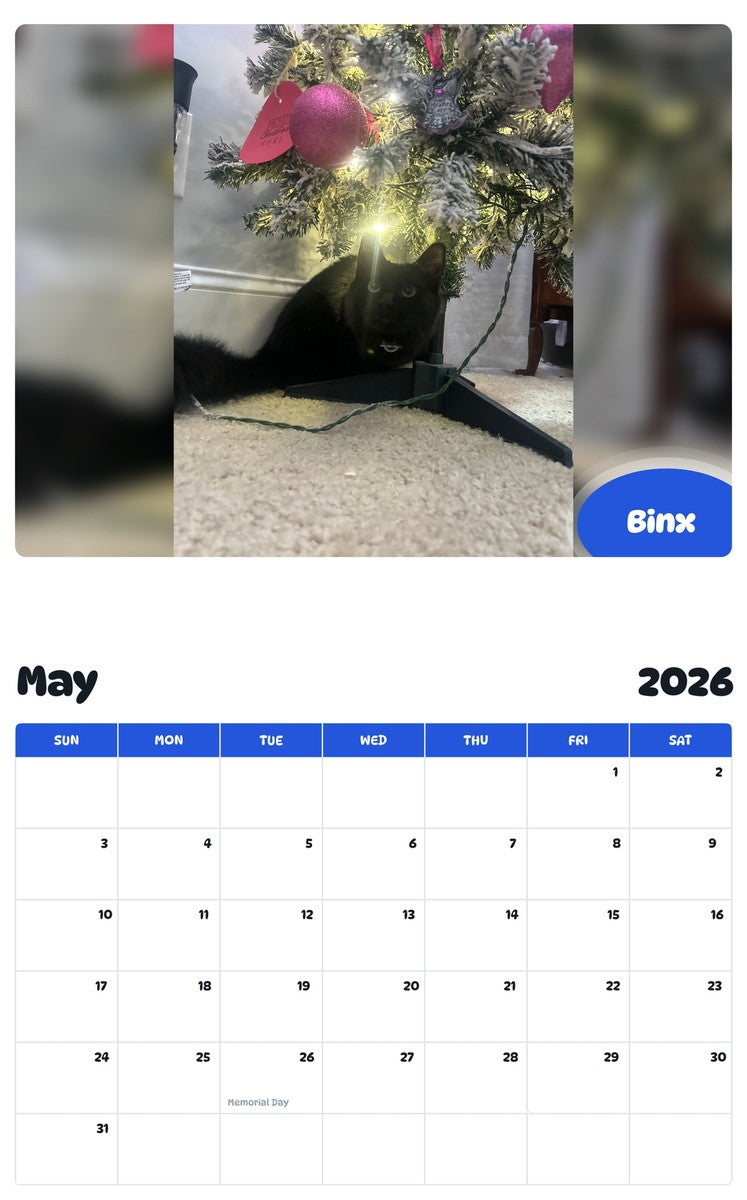 2026 - 2027 Binx - Pawidols Pet Calendar