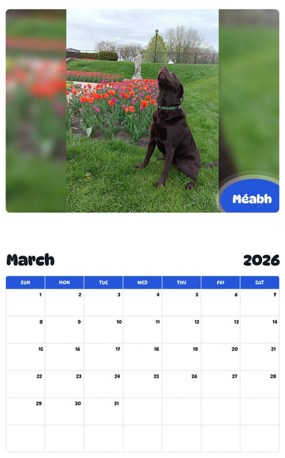November 2025 - October 2026 Méabh - Pawidols Pet Calendar