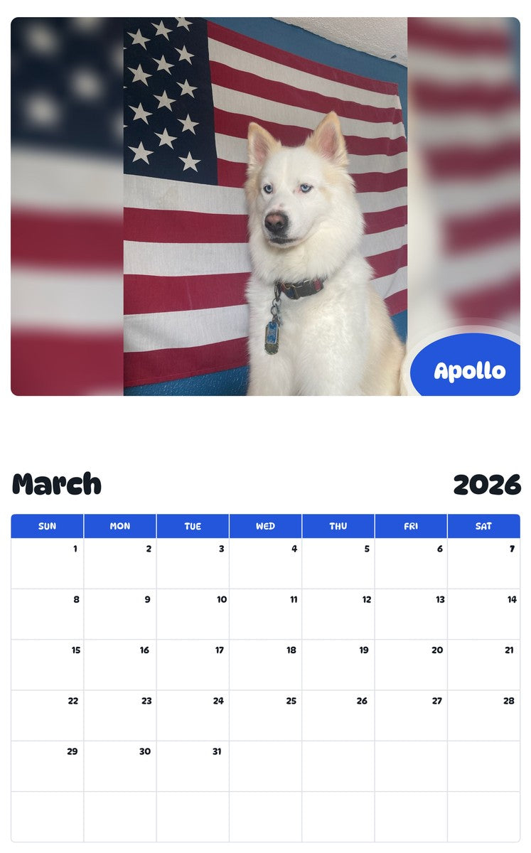 November 2025 - October 2026 Apollo - Pawidols Pet Calendar