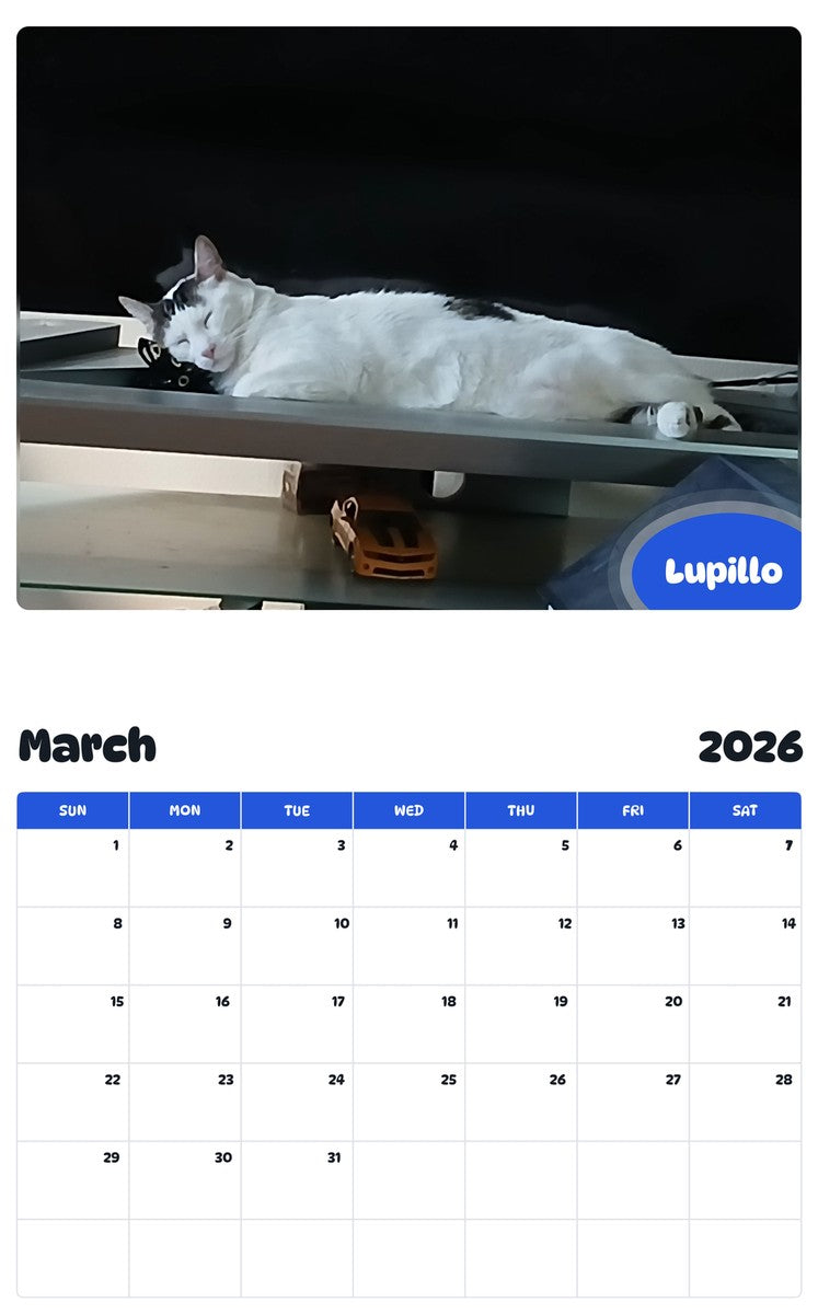 November 2025 - October 2026 Lupillo - Pawidols Pet Calendar