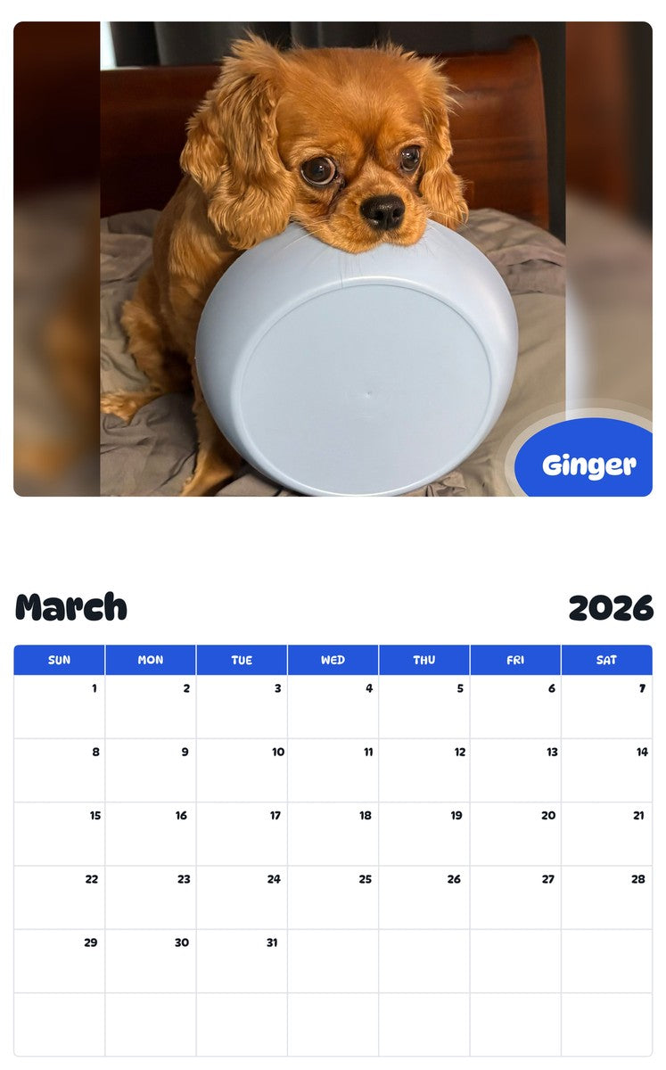 November 2025 - October 2026 Ginger - Pawidols Pet Calendar
