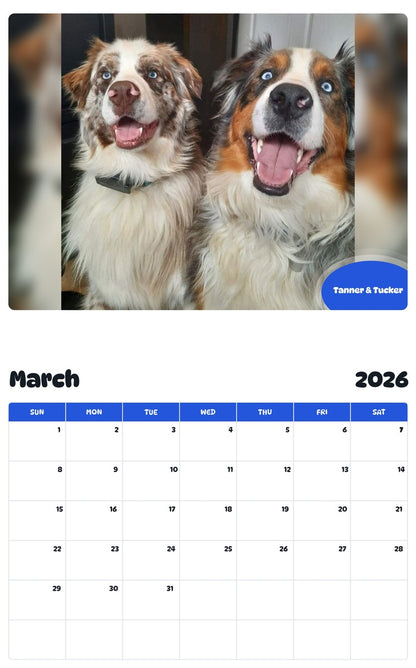 November 2025 - October 2026 Tanner & Tucker - Pawidols Pet Calendar