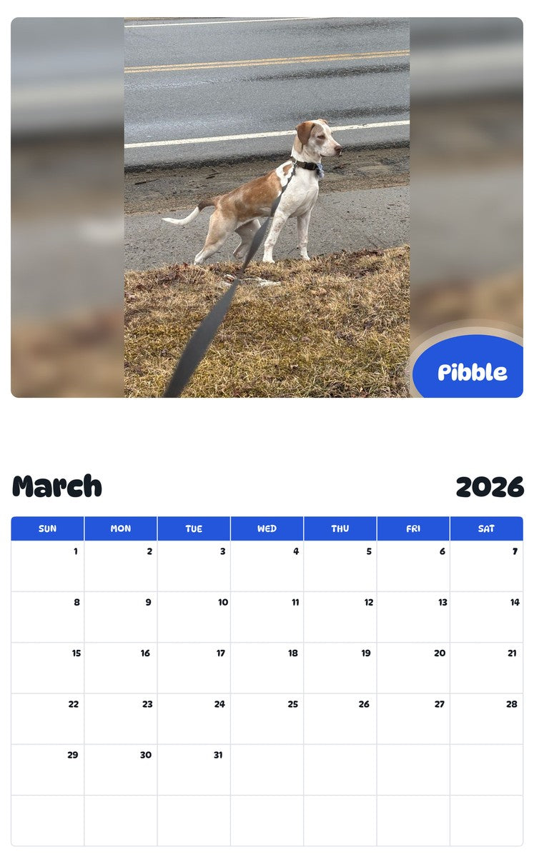 November 2025 - October 2026 Pibble - Pawidols Pet Calendar
