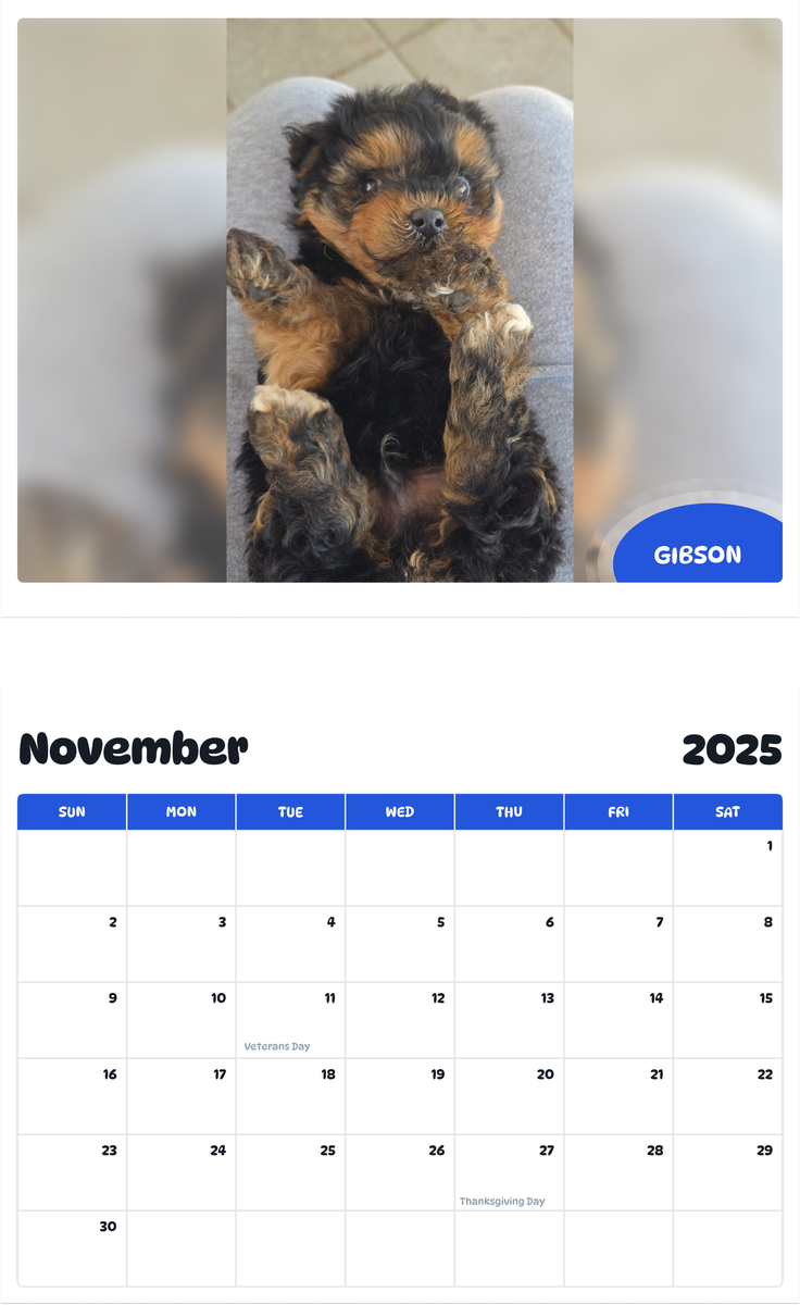 July 2025 - June 2026 Gibson - Pawidols Pet Calendar
